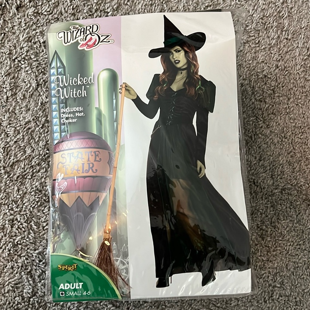 Wicked Witch Adult Costume - Black